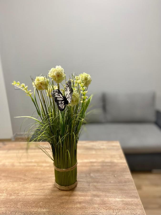 Nalyvaika Lviv Apartments Kültér fotó